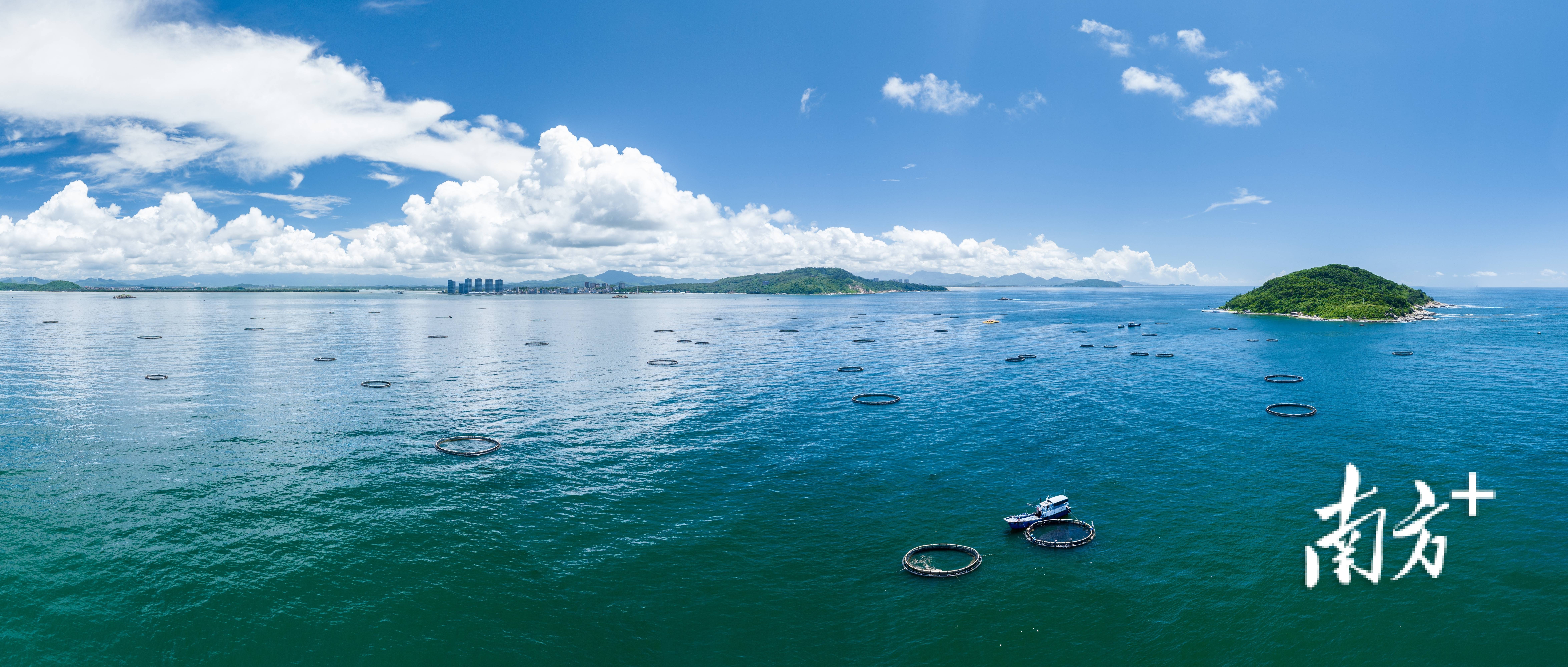 阳江阳西：向海图强 融湾发展丨阳江“百千万工程”特别报道